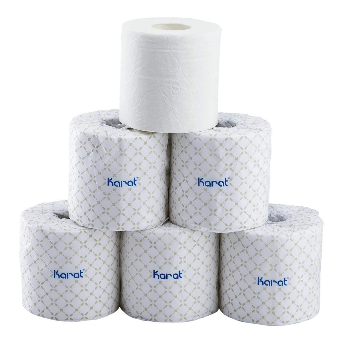 2-ply Toilet Paper Rolls Case of 48 S475213