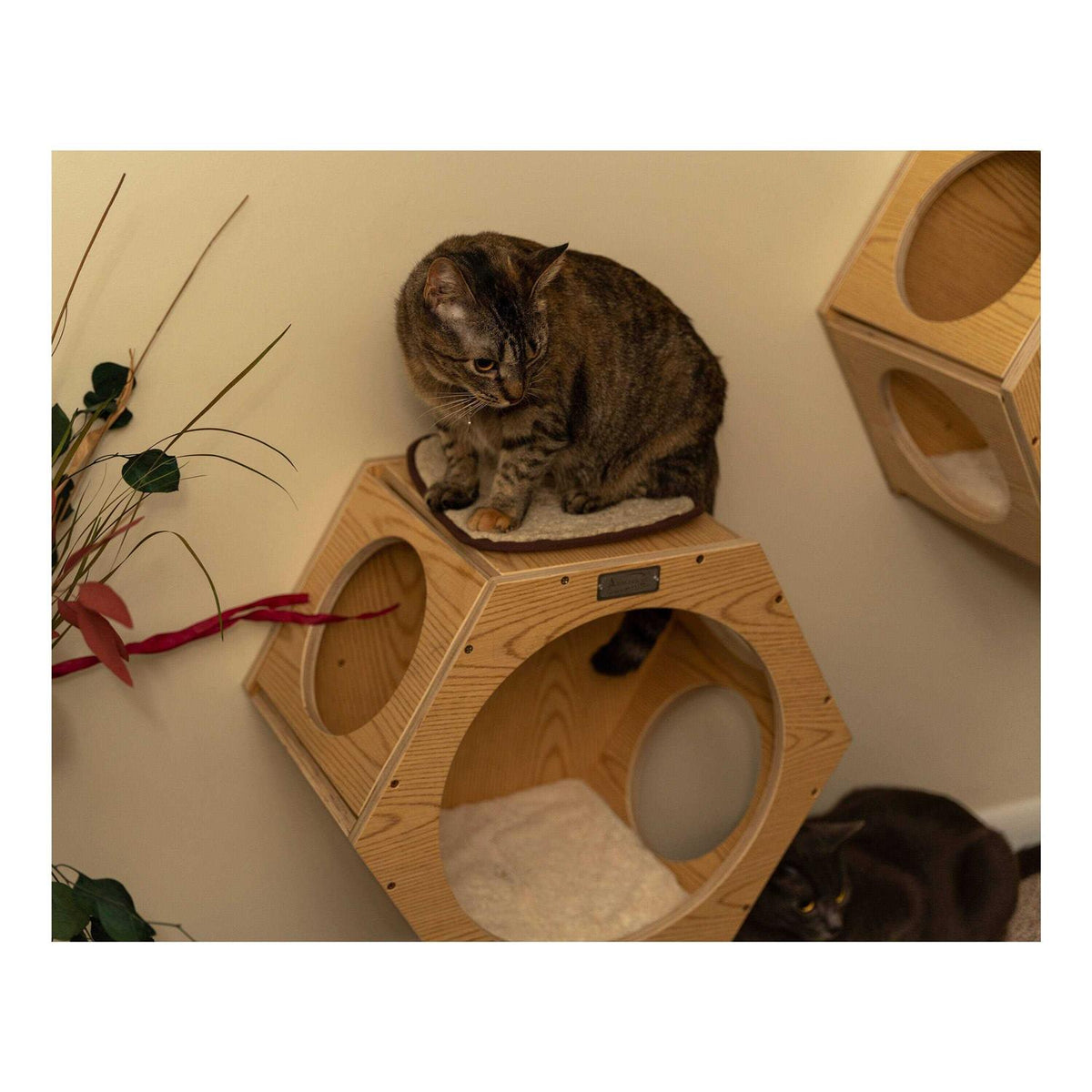 Set of Two Natural Wood Wall Tree Additions B627634