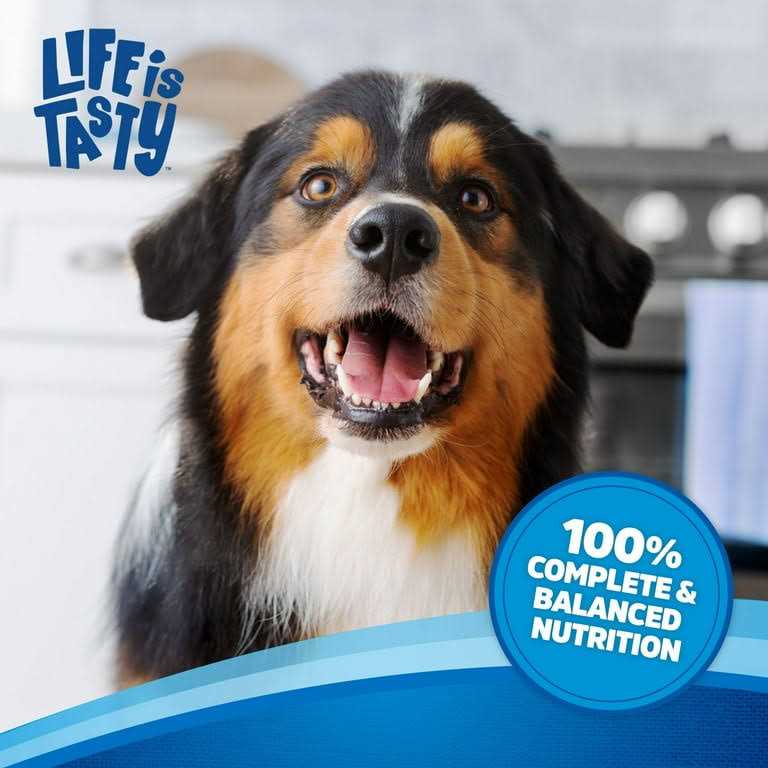 Beef Dog Food T775