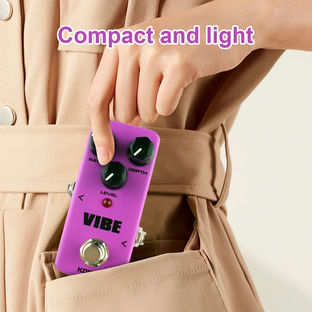 Portable Audio Processor Pedal R1557