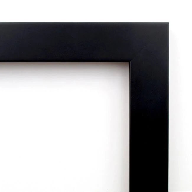 Framed Print H202