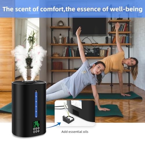 6L Cool and Warm Humidifiers Black O210