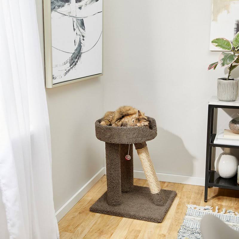 Gray 24-in Carpet Cat Scratching Perch with Toy P473565