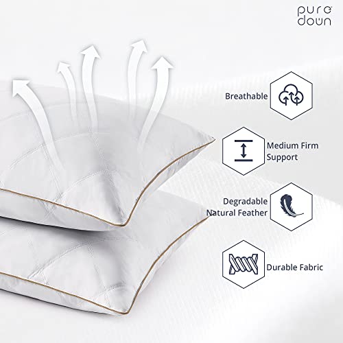 Goose Feathers and Down Pillow Set of 2 Queen X362