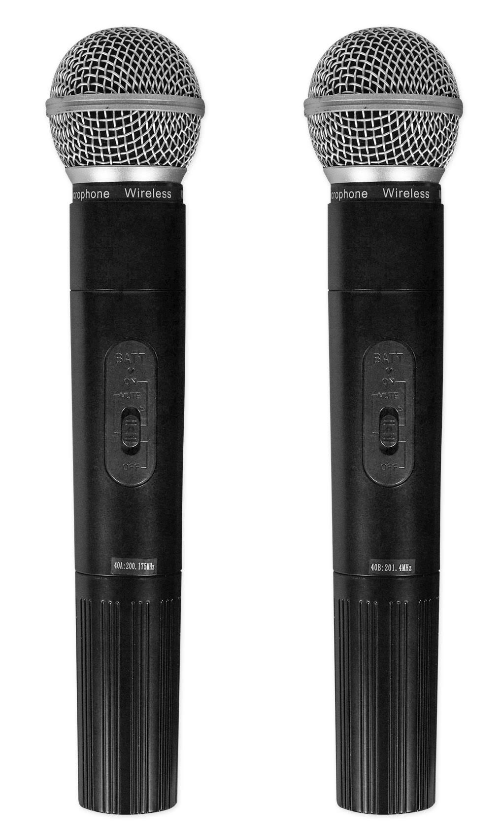 Portable Rechargeable DJ PA Speaker with 2 Mics Y83075