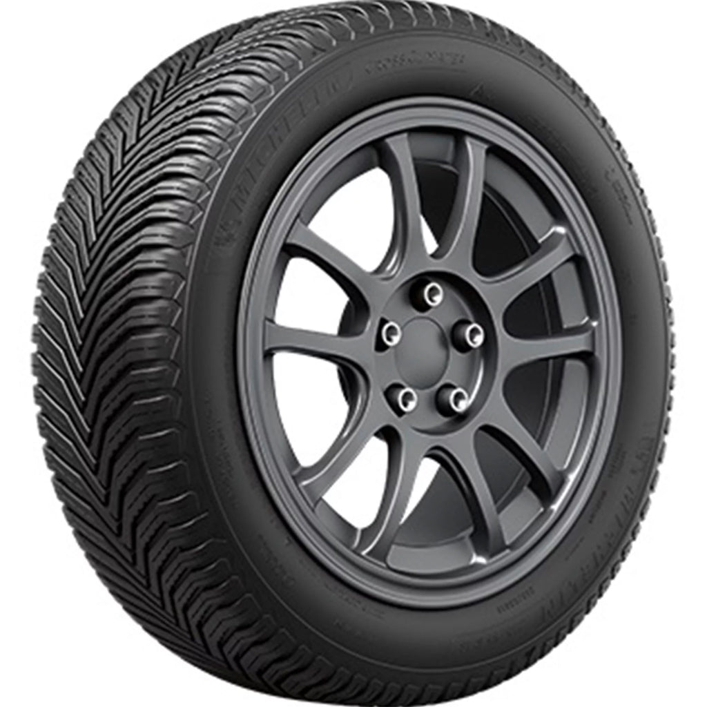 All Weather 245/55R19 107V XL Passenger Tire V170773
