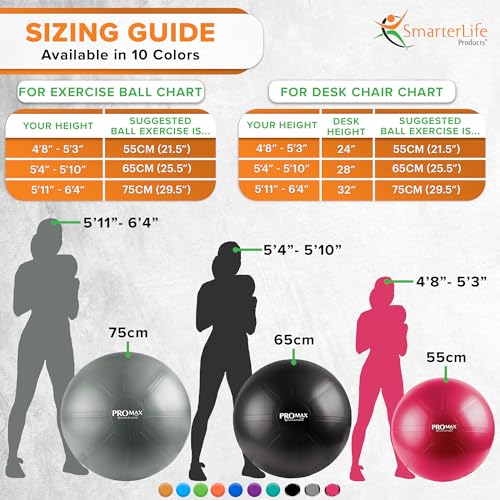Exercise Ball I451833