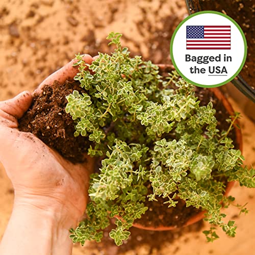 Indoor Plant Potting Mix 8qt B7345