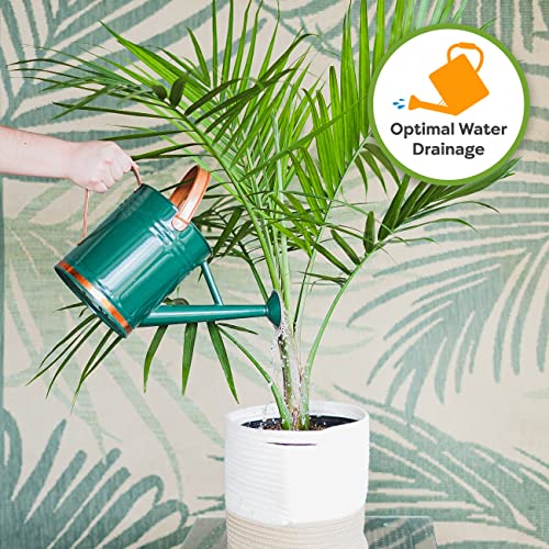 Indoor Plant Potting Mix 8qt B7345