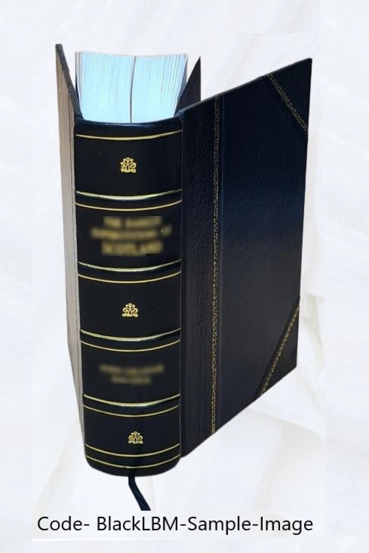 1920 Census Population Schedules Illinois Leather Bound Q4069