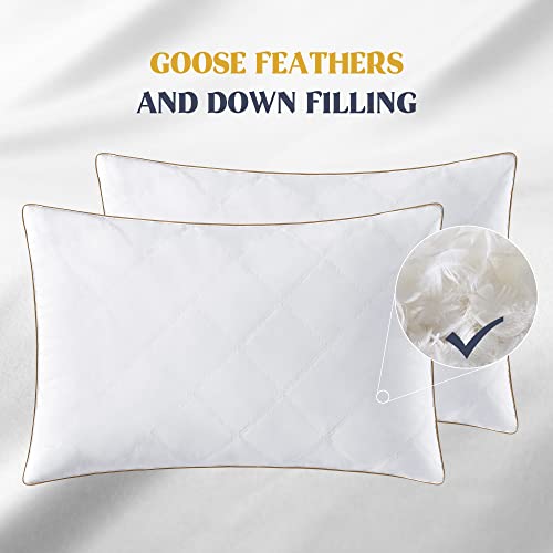 Goose Feathers and Down Pillow Set of 2 Queen X362