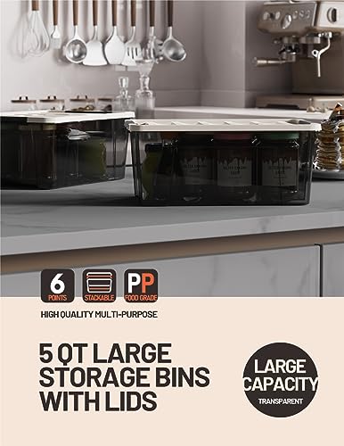 Clear Storage Bins with Lids, 6-Pack S96043