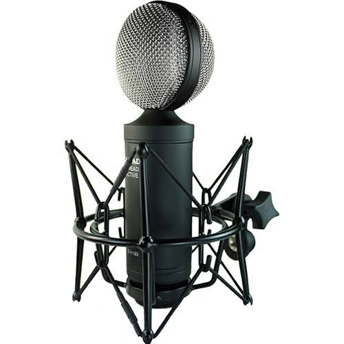 Black/Silver Ribbon Microphone O143428