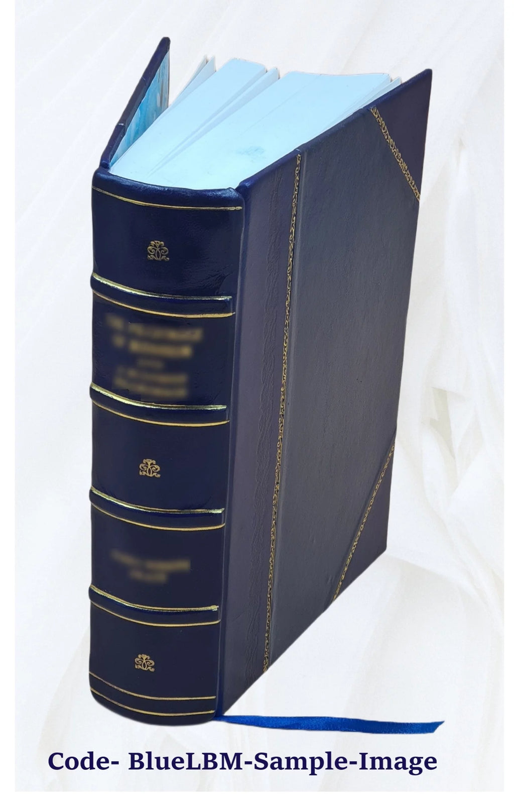 1920 Census Population Schedules Illinois Leather Bound Q4069