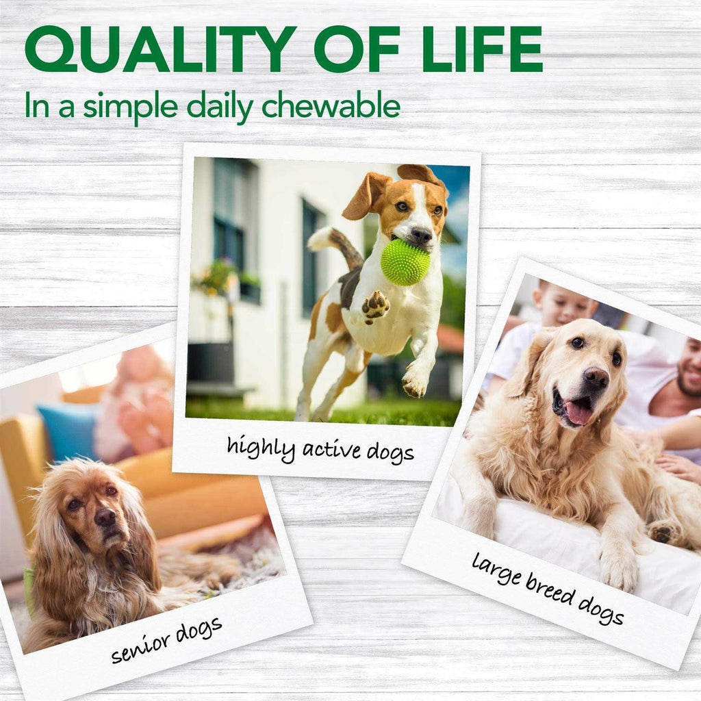 Dog Supplement A804341