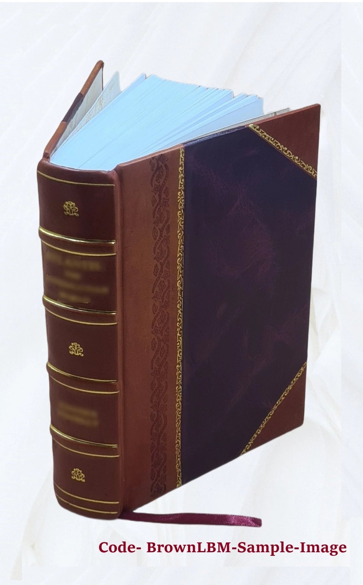 1920 Census Population Schedules Illinois Leather Bound Q4069