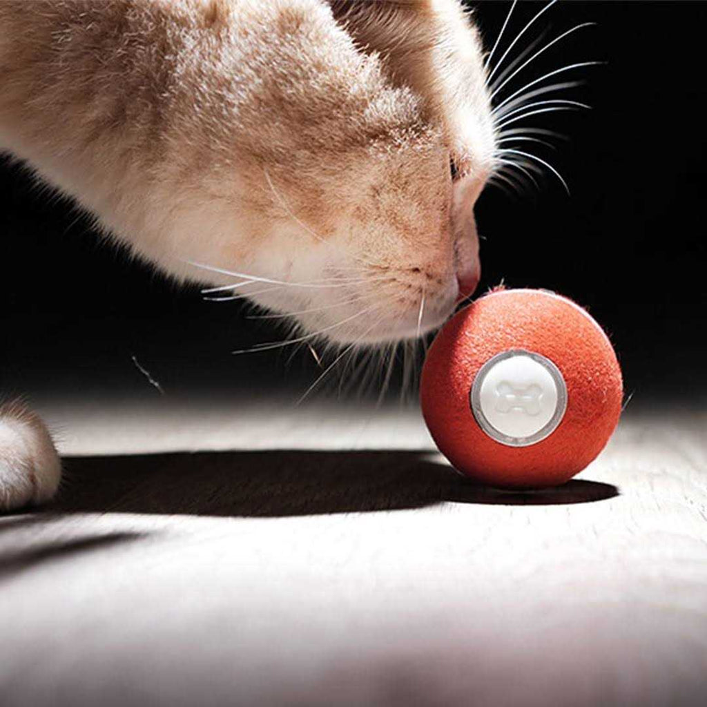 Interactive Cat Toy 1.7 Inch Q608546