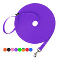 Dog Training Lead Leash R2187