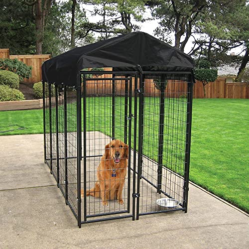 Black Powder Coat Steel Frame Outdoor Dog Kennel with Waterproof Canopy Roof and Gate Door D471