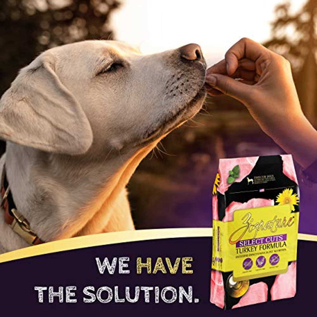 Turkey Formula Dry Dog Food E8130