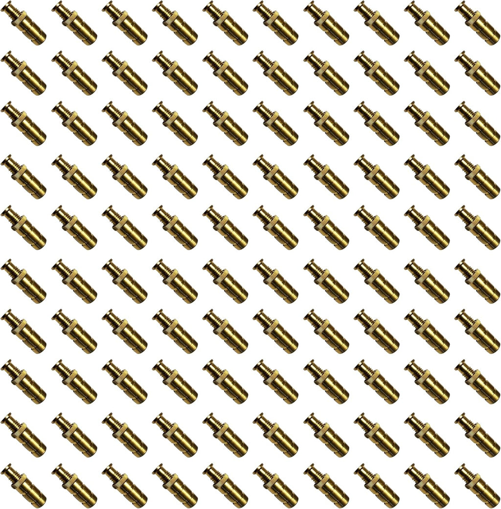 Pool Safety Cover Brass Anchors for Concrete and Pavers - 25 Pack G286841