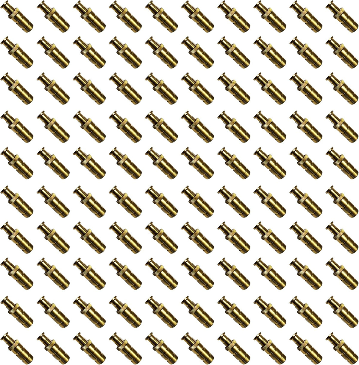 Pool Safety Cover Brass Anchors for Concrete and Pavers - 25 Pack G286841