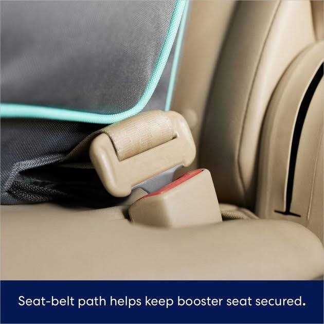 Travel Dog Booster Seat C218695