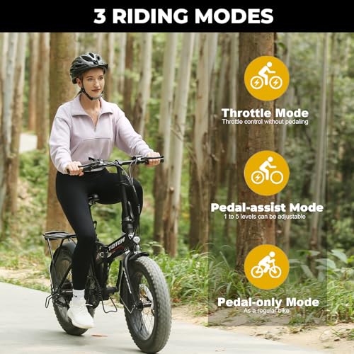20"X4" Fat Tire Folding Electric Bike with 48V 10.4Ah Removable Battery C47648