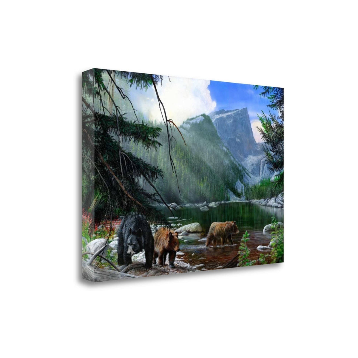 Giclee on Gallery Wrap Canvas R71533