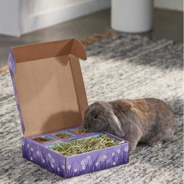 Bunny Bento Box B215