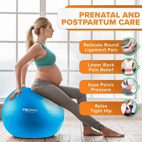 Exercise Ball I451833