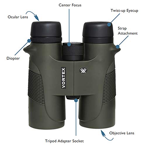 10x42 Roof Prism Binocular J2217