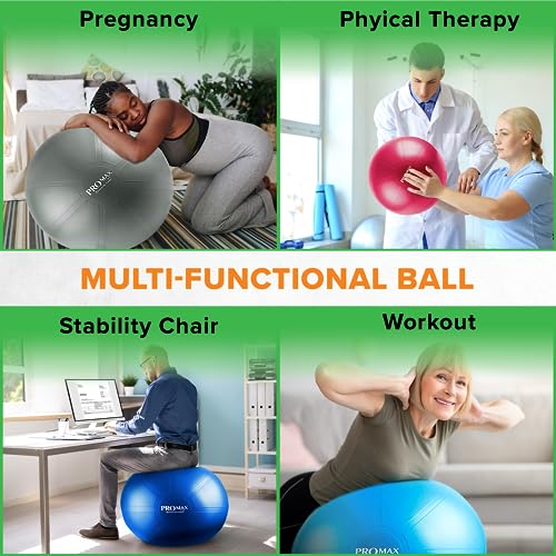 Exercise Ball I451833