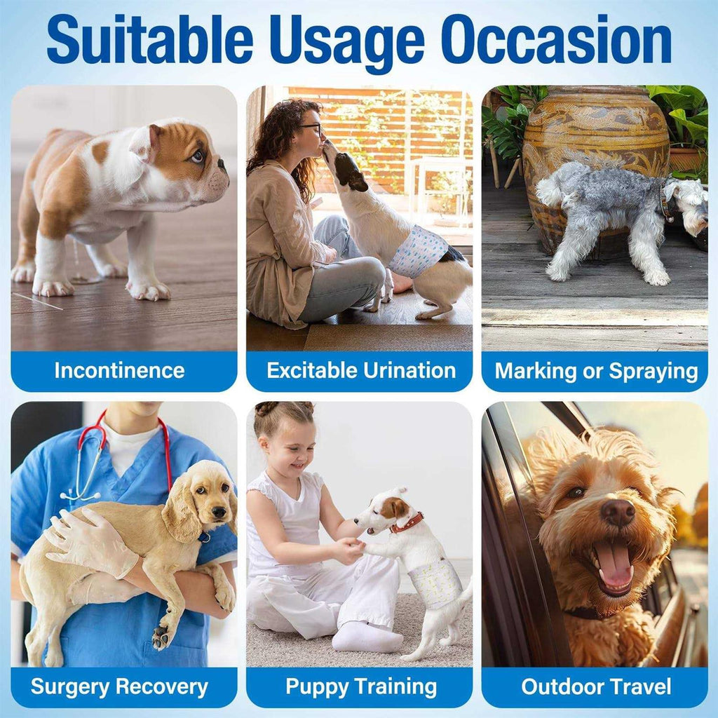 Soft Disposable Male Dog Diapers U201809