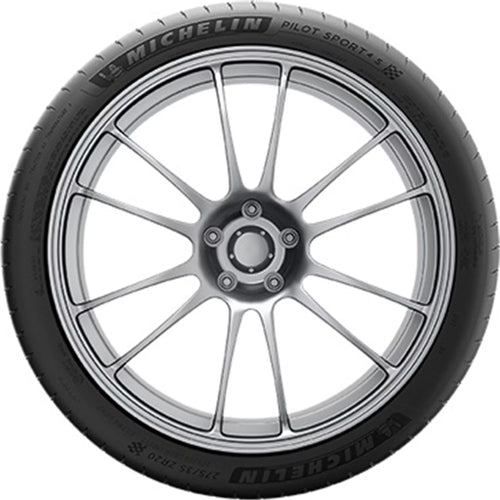 295/30ZR21 Performance Tire H269488