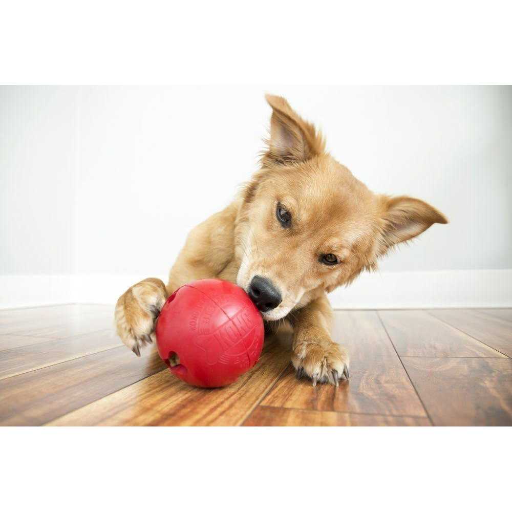 Biscuit Ball Dog Toy Z3606