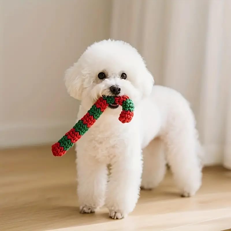 4 Pack Braided Cotton Dog Rope Toys B594733