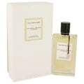 California Reverie M728895