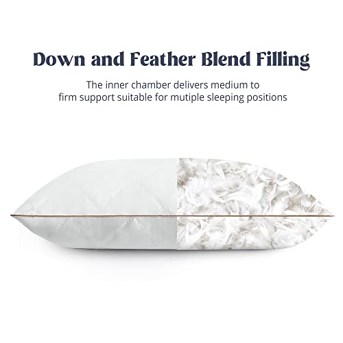 Goose Feathers and Down Pillow Set of 2 Queen X362