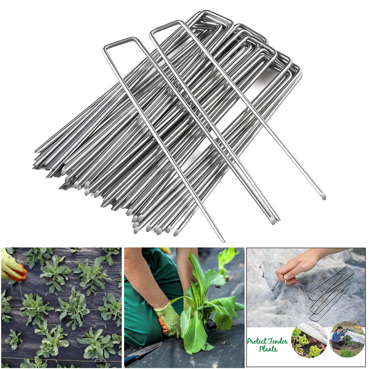 50 Packs Galvanised Turf Staples Ground Pegs S9653