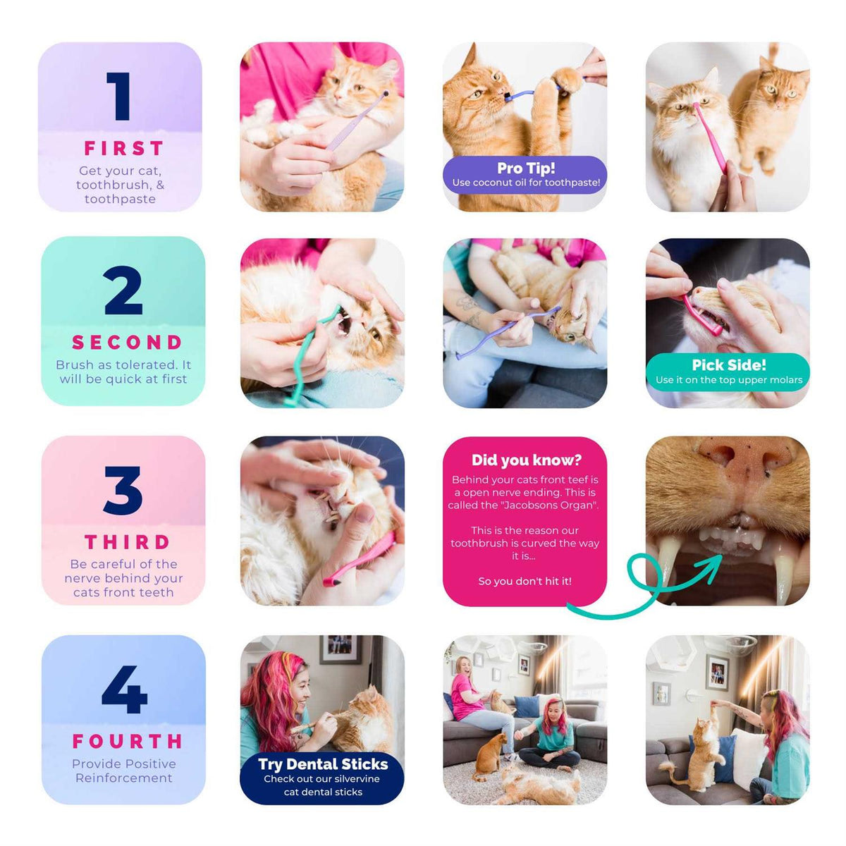 Dual Sided Cat Toothbrush V2089