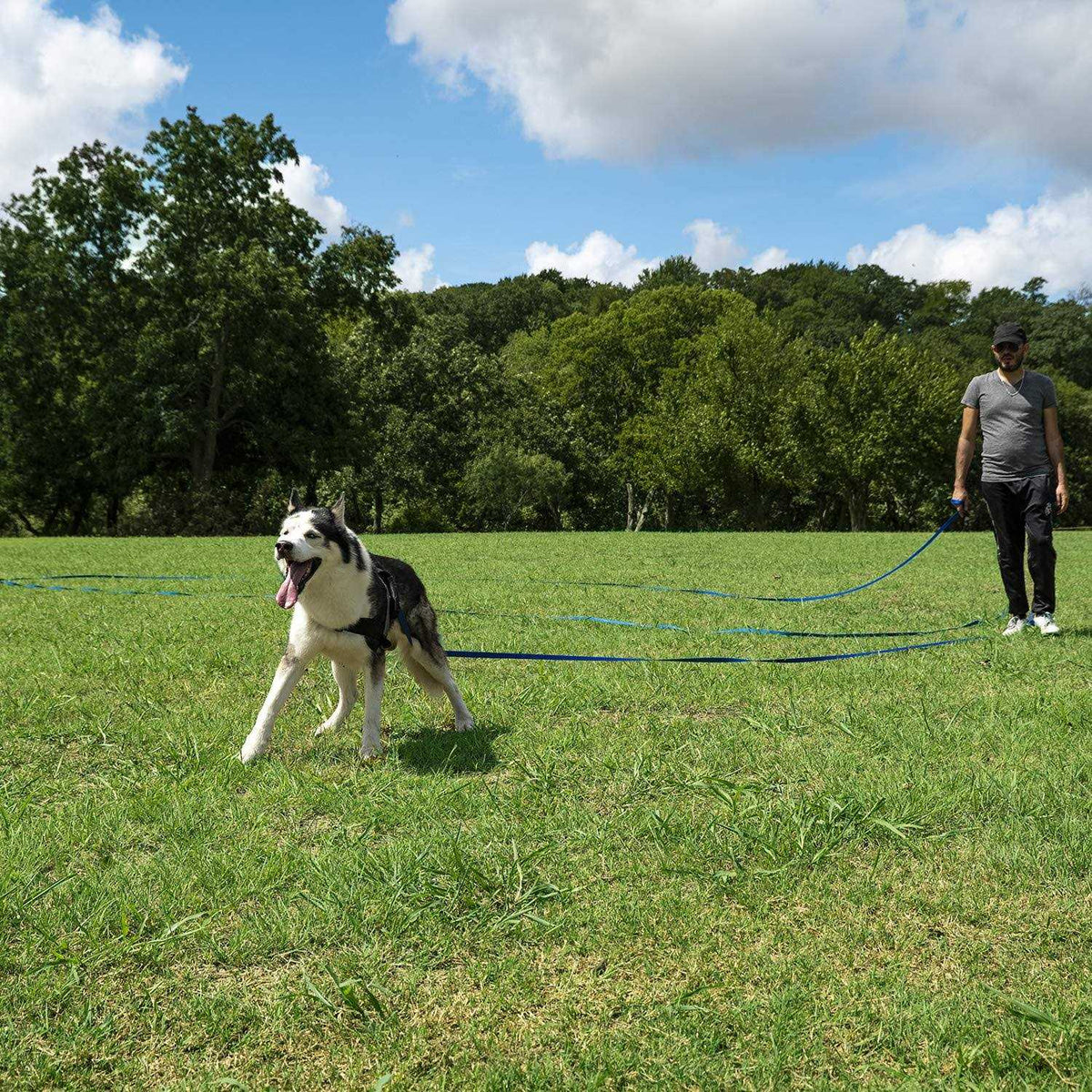 Dog Training Lead Leash R2187