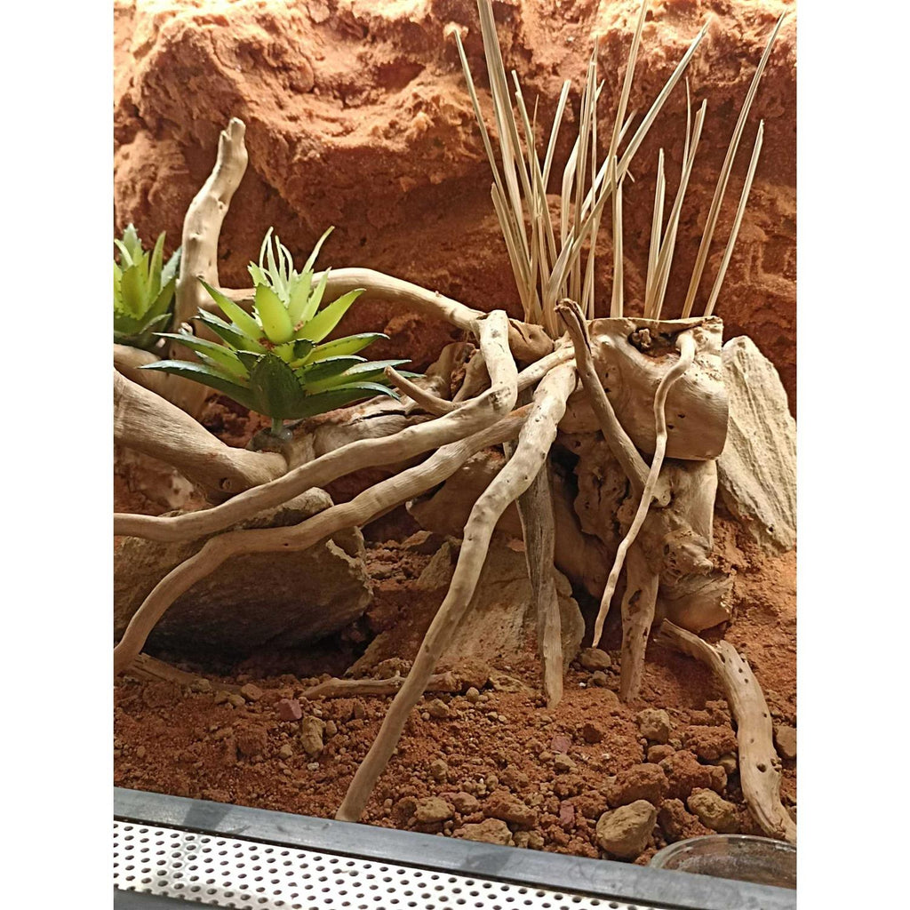 Stone Desert Substrate P21954