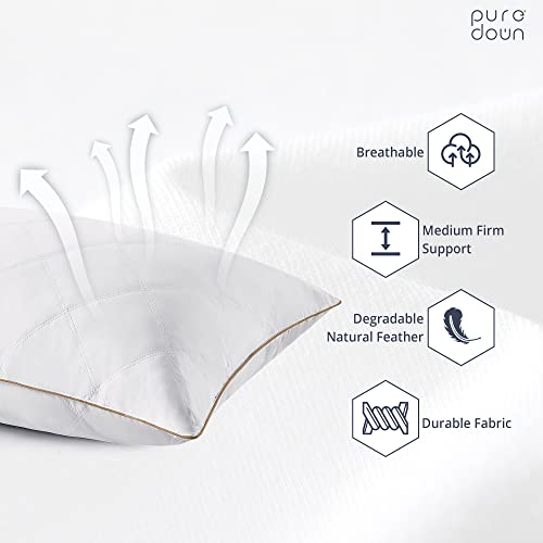 Goose Feathers and Down Pillow Set of 2 Queen X362