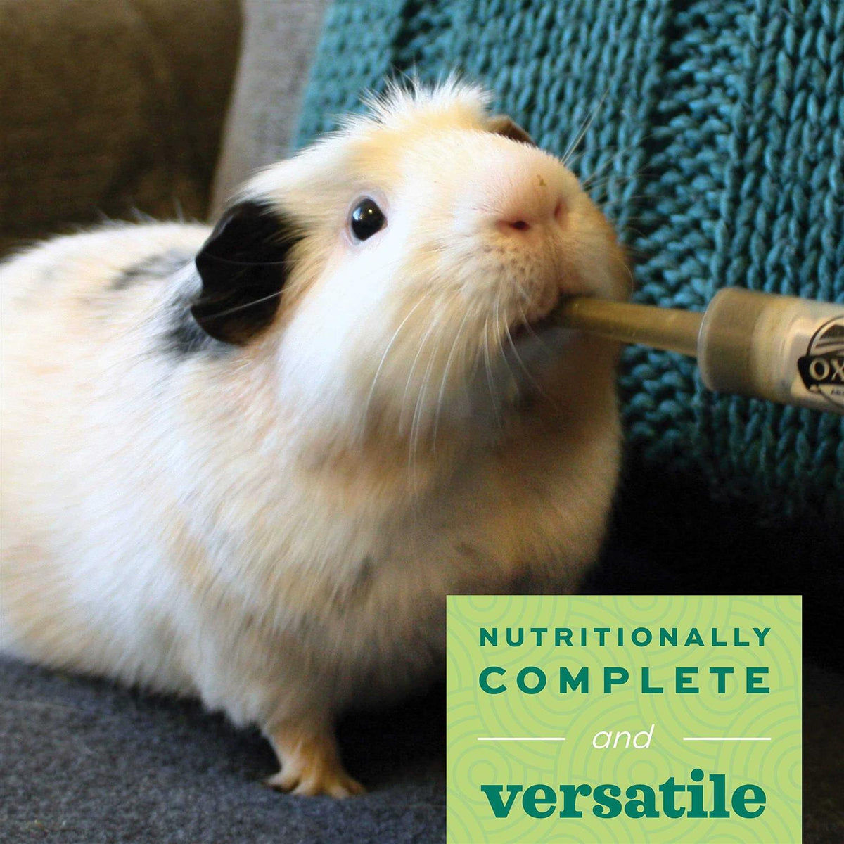 Apple-Banana Herbivore J3859