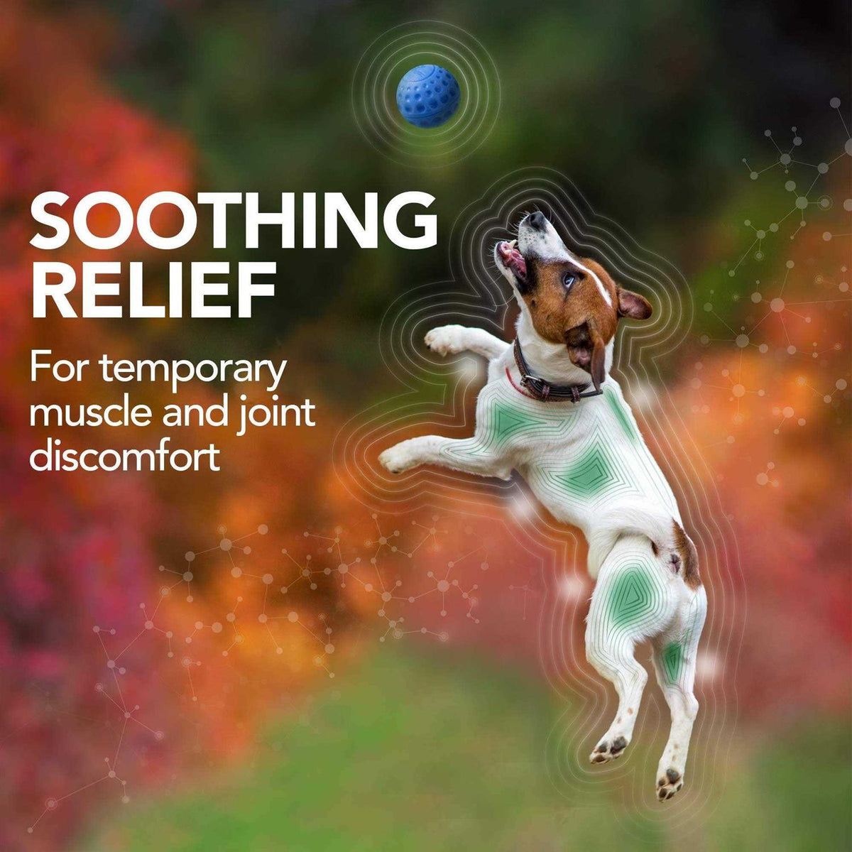 Dog Supplement A804341