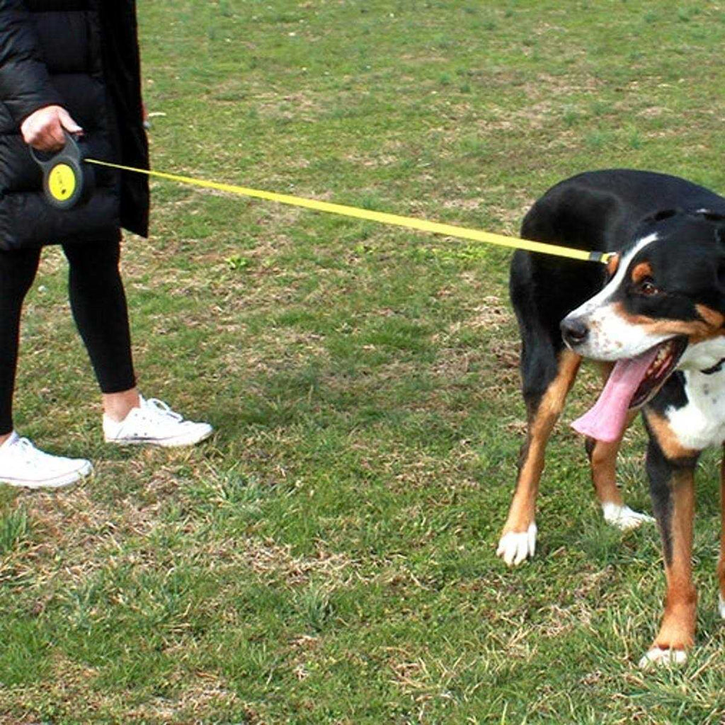 Retractable Leash I4739