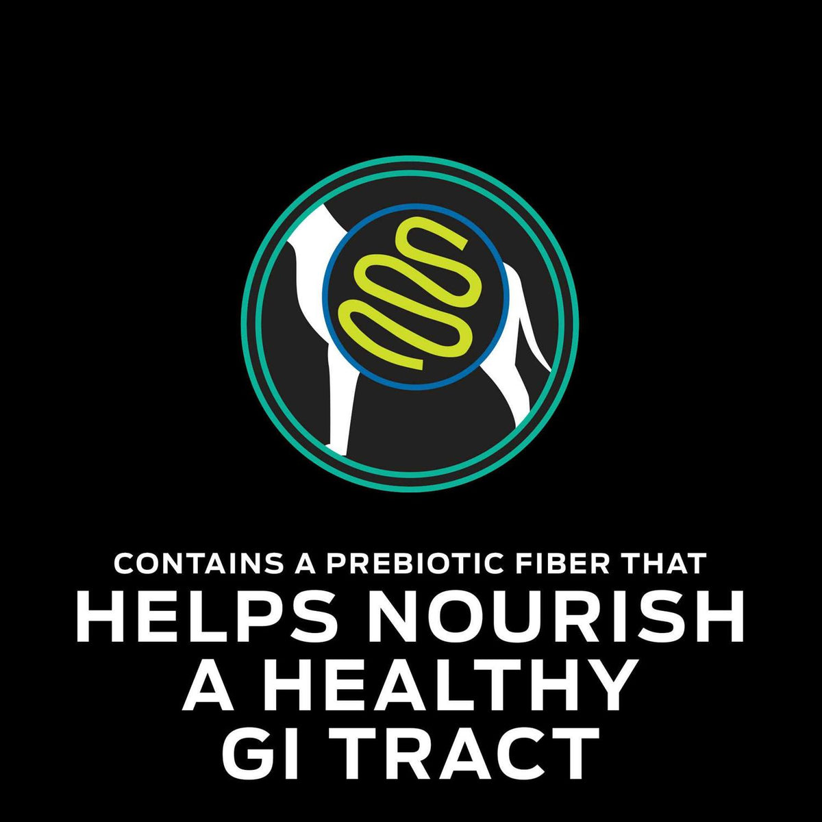 Gastroenteric Formula Dry Dog Food U276240
