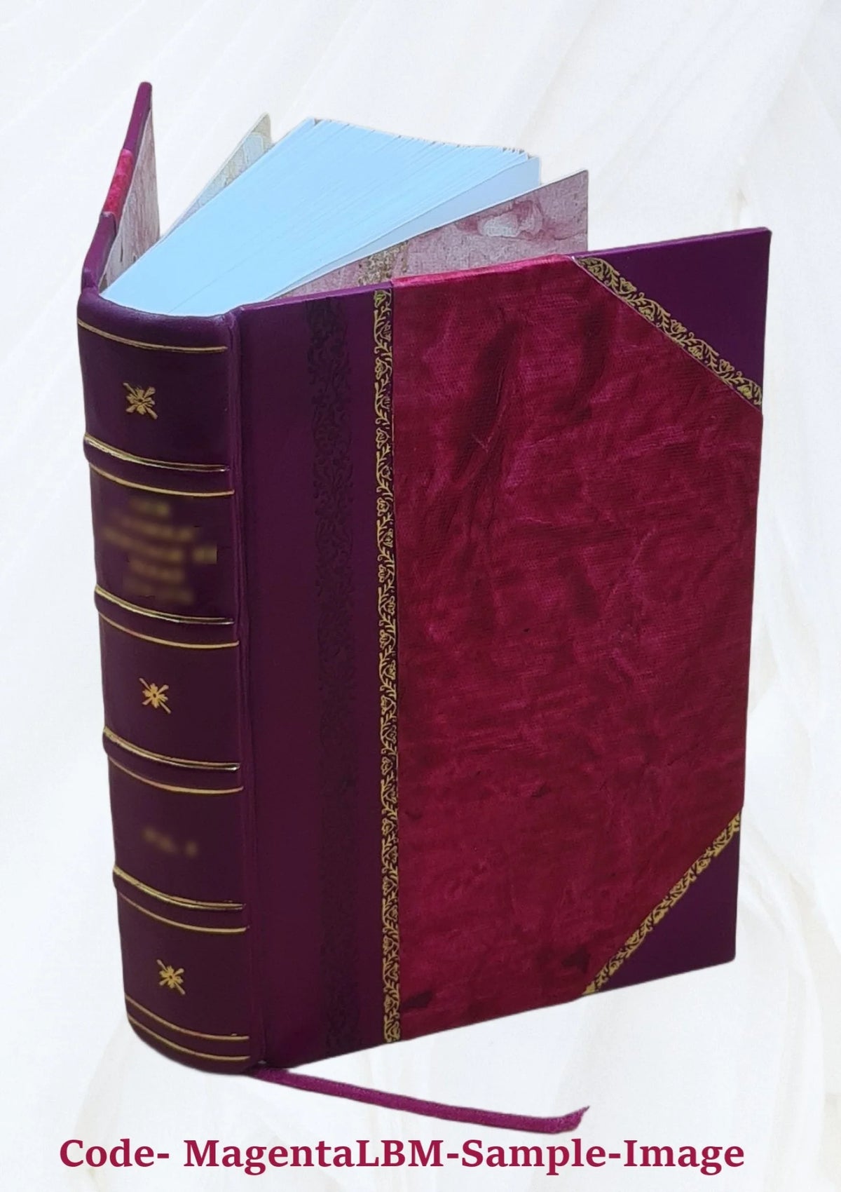 1920 Census Population Schedules Illinois Leather Bound Q4069