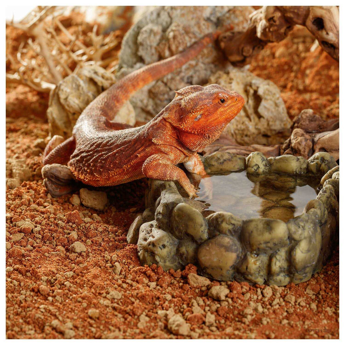 Stone Desert Substrate P21954
